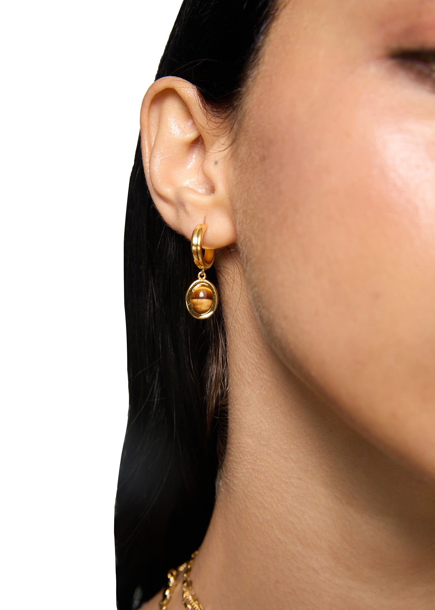 Anika Tiger's Eye Earrings