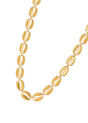 Scott Shell Golden Necklace