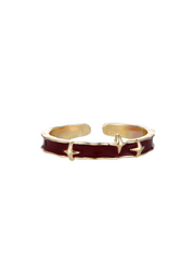 Aster Red Golden Ring II