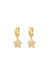 James Star Earrings
