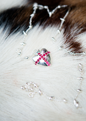 Blissful Seraphim - Gentle Heart Necklace in Silver
