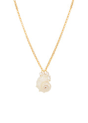 Miranda Shell Summer Long Chain Necklace