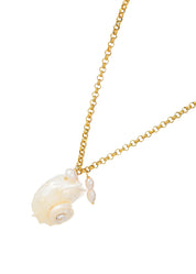 Miranda Shell Summer Long Chain Necklace