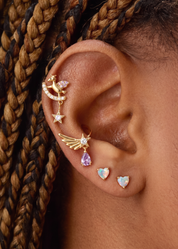Petit Unicorn Wing Golden Earrings Set