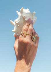 Anillo dorado Todd Shell y Seastar